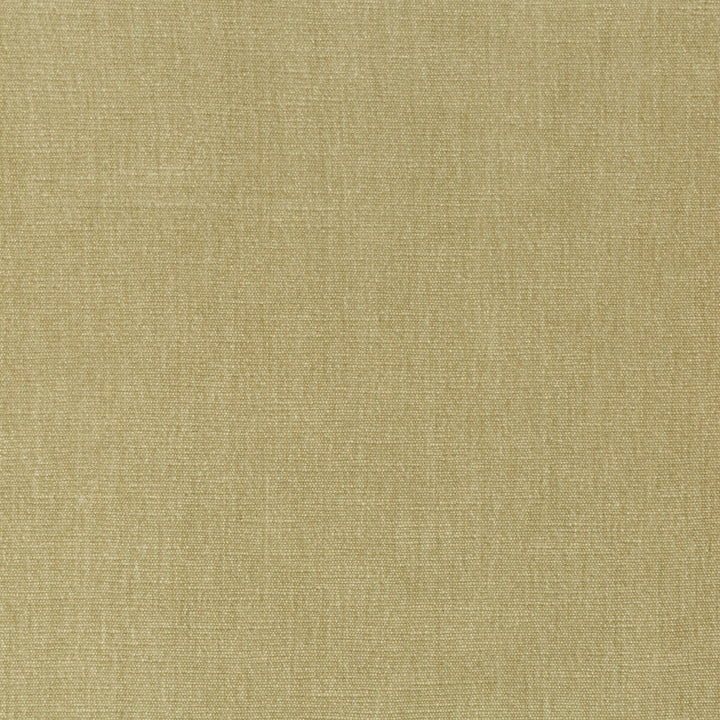 Kravet Smart 36076-1616 by Kravet Smart Fabric Kravet Smart Fabric Kravet Smart 36076-1616Fabric PERFORMANCE KRAVETARMOR POLYESTER - 62%;COTTON - 38% India </p><p>Repeat: H: 0, V: 0 54 - Fabric Carolina -