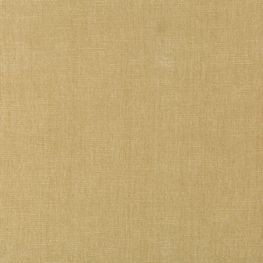 36076-161 by Kravet Smart Designer Fabric PERFORMANCE KRAVETARMOR POLYESTER - 62%;COTTON - 38% India HEAVY Horizontal: 0 and Vertical: 0 54 - Swanky Fabrics -