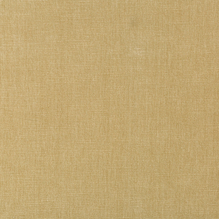 36076-161 by Kravet Smart Designer Fabric PERFORMANCE KRAVETARMOR POLYESTER - 62%;COTTON - 38% India HEAVY Horizontal: 0 and Vertical: 0 54 - Swanky Fabrics -