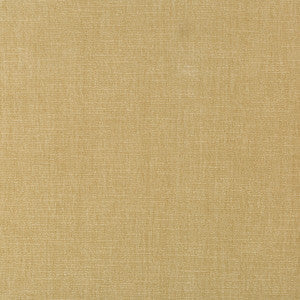 Kravet Fabric 36076-161