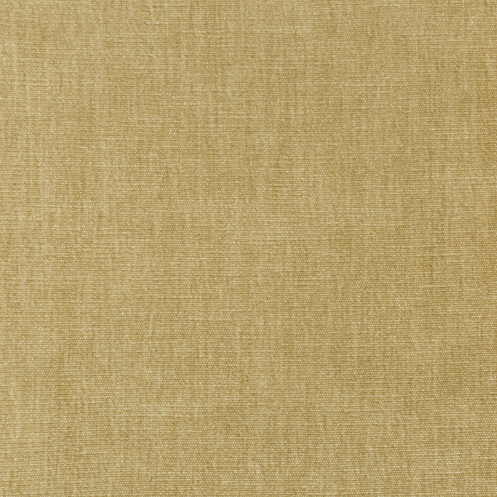 Kravet Smart 36076-16 by Kravet Smart Fabric Kravet Smart Fabric Kravet Smart 36076-16Fabric PERFORMANCE KRAVETARMOR POLYESTER - 62%;COTTON - 38% India </p><p>Repeat: H: 0, V: 0 54 - Fabric Carolina -