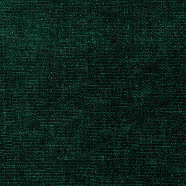 Kravet Smart 36076-35 by Kravet Smart Fabric Kravet Smart Fabric Kravet Smart 36076-35Fabric PERFORMANCE KRAVETARMOR POLYESTER - 62%;COTTON - 38% India </p><p>Repeat: H: 0, V: 0 54 - Fabric Carolina -