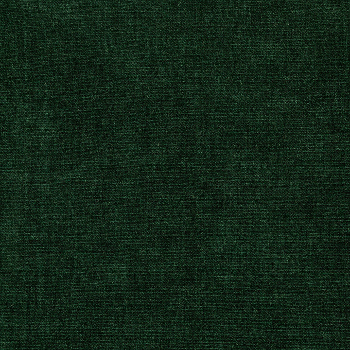 Kravet Smart 36076-53 by Kravet Smart Fabric Kravet Smart Fabric Kravet Smart 36076-53Fabric PERFORMANCE KRAVETARMOR POLYESTER - 62%;COTTON - 38% India </p><p>Repeat: H: 0, V: 0 54 - Fabric Carolina -