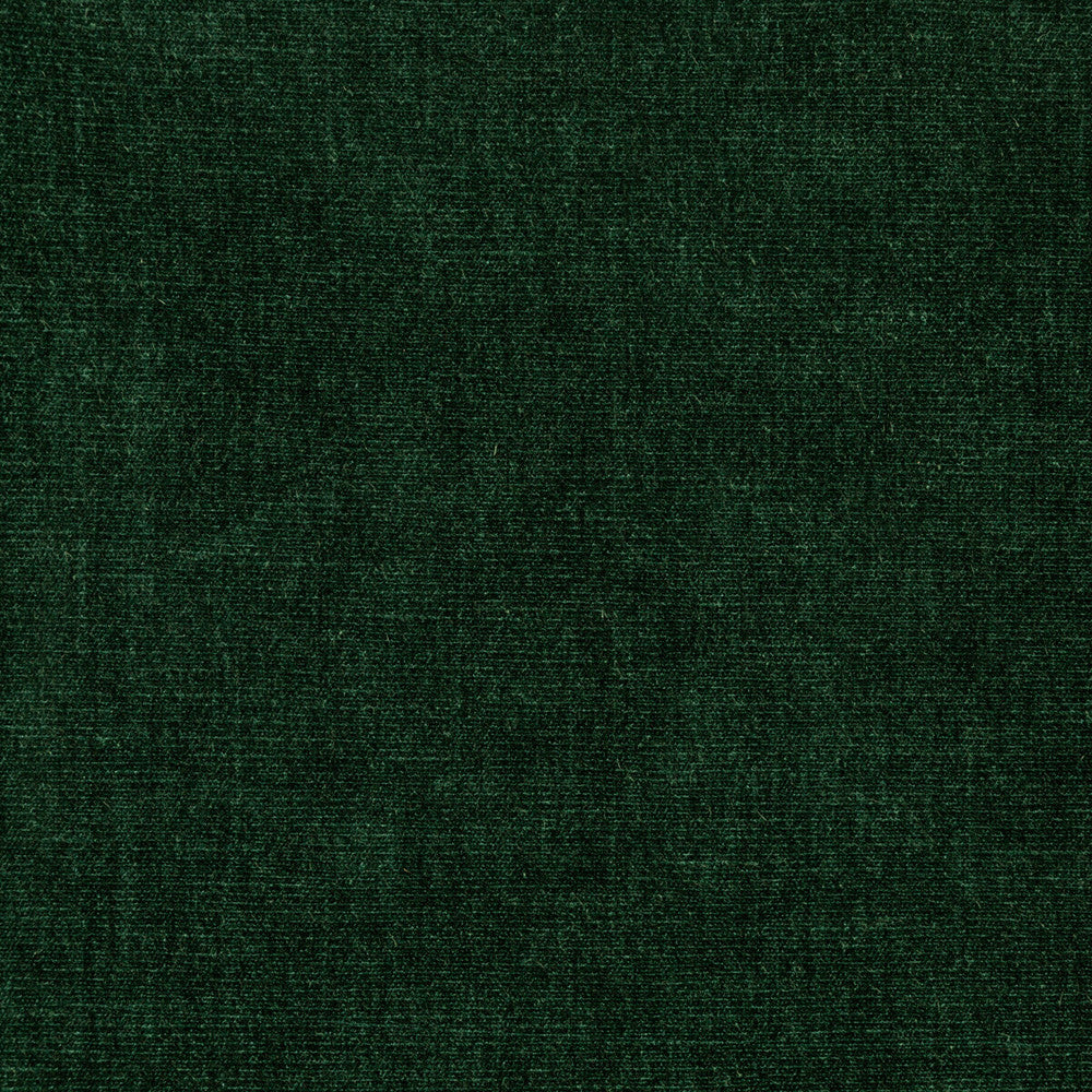 36076-53 by Kravet Smart Designer Fabric PERFORMANCE KRAVETARMOR POLYESTER - 62%;COTTON - 38% India HEAVY Horizontal: 0 and Vertical: 0 54 - Swanky Fabrics -