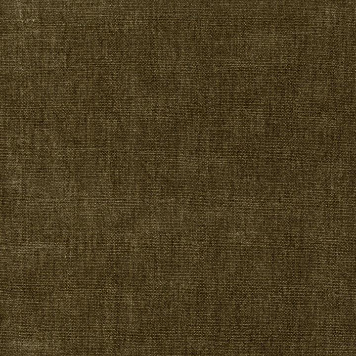 36076-66 by Kravet Smart Designer Fabric PERFORMANCE KRAVETARMOR POLYESTER - 62%;COTTON - 38% India HEAVY Horizontal: 0 and Vertical: 0 54 - Swanky Fabrics -