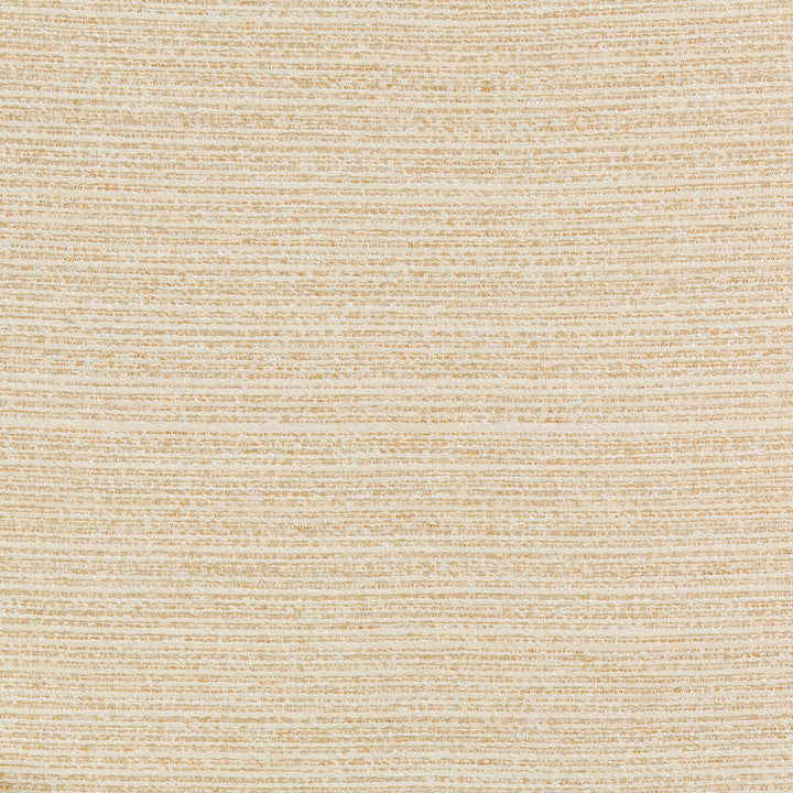 36079-161 by Kravet Design Designer Fabric INSIDE OUT PERFORMANCE FABRICS OLEFIN - 55%;POLYESTER - 45% United States HEAVY Horizontal: 0 and Vertical: 0 56.25 - Swanky Fabrics -