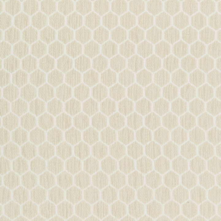 36081-161 by Kravet Design Designer Fabric INSIDE OUT PERFORMANCE FABRICS POLYESTER - 100% United States HEAVY Horizontal: 1.25 and Vertical: 0.69 57 - Swanky Fabrics -