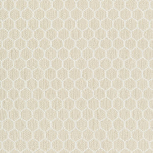 Kravet Fabric 36081-161
