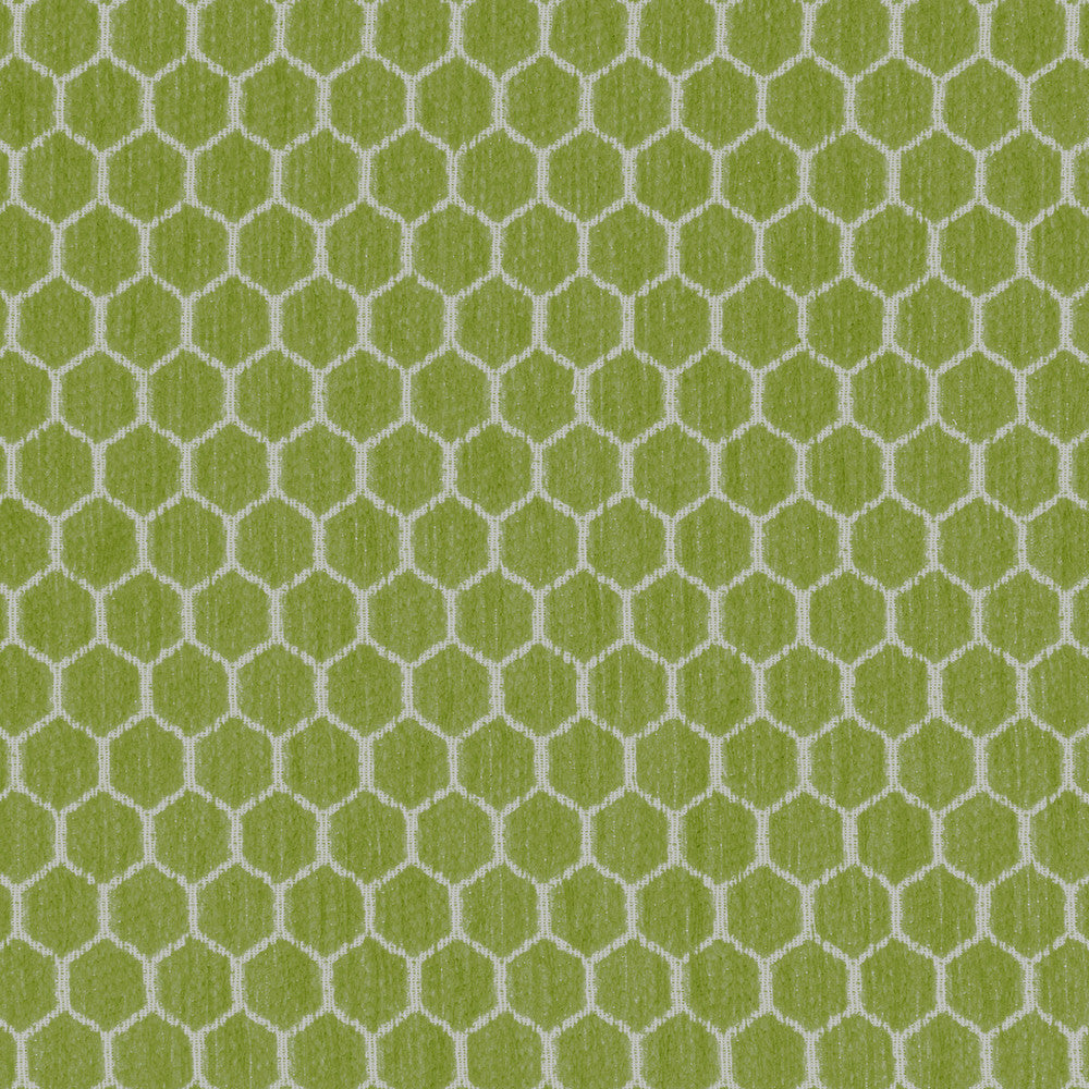 Kravet Design 36081-23 by Kravet Design Fabric Kravet Design Fabric Kravet Design 36081-23Fabric INSIDE OUT PERFORMANCE FABRICS POLYESTER - 100% United States </p><p>Repeat: H: 1.25, V: 0.69 57 - Fabric Carolina -