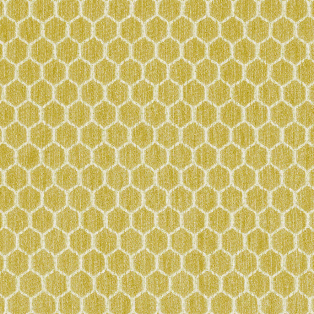 Kravet Design 36081-314 by Kravet Design Fabric Kravet Design Fabric Kravet Design 36081-314Fabric INSIDE OUT PERFORMANCE FABRICS POLYESTER - 100% United States </p><p>Repeat: H: 1.25, V: 0.69 57 - Fabric Carolina -