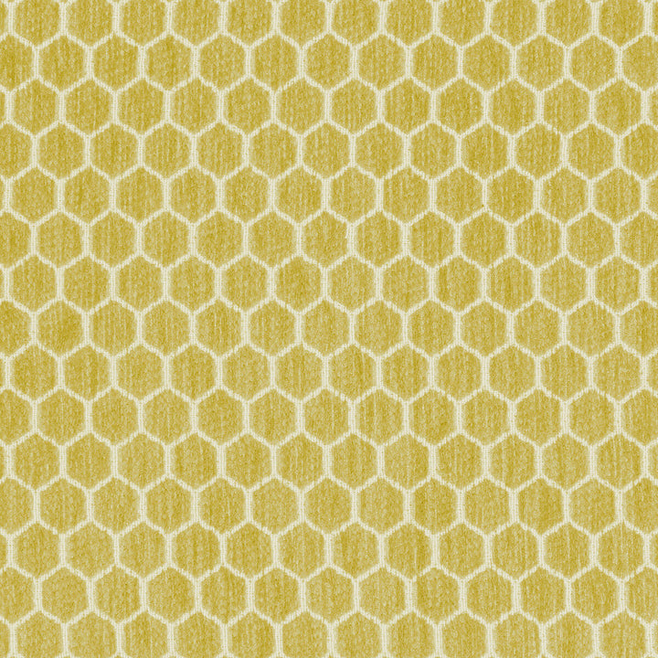 Kravet Design 36081-314 by Kravet Design Fabric Kravet Design Fabric Kravet Design 36081-314Fabric INSIDE OUT PERFORMANCE FABRICS POLYESTER - 100% United States </p><p>Repeat: H: 1.25, V: 0.69 57 - Fabric Carolina -
