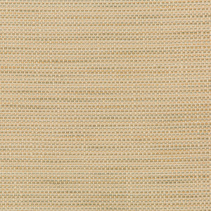 Kravet Fabric 36082-106