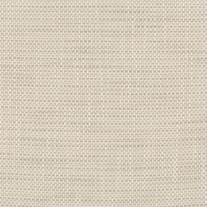 Kravet Fabric 36082-1101