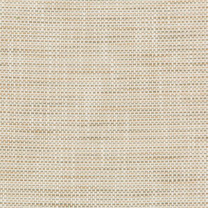 Kravet Fabric 36082-161
