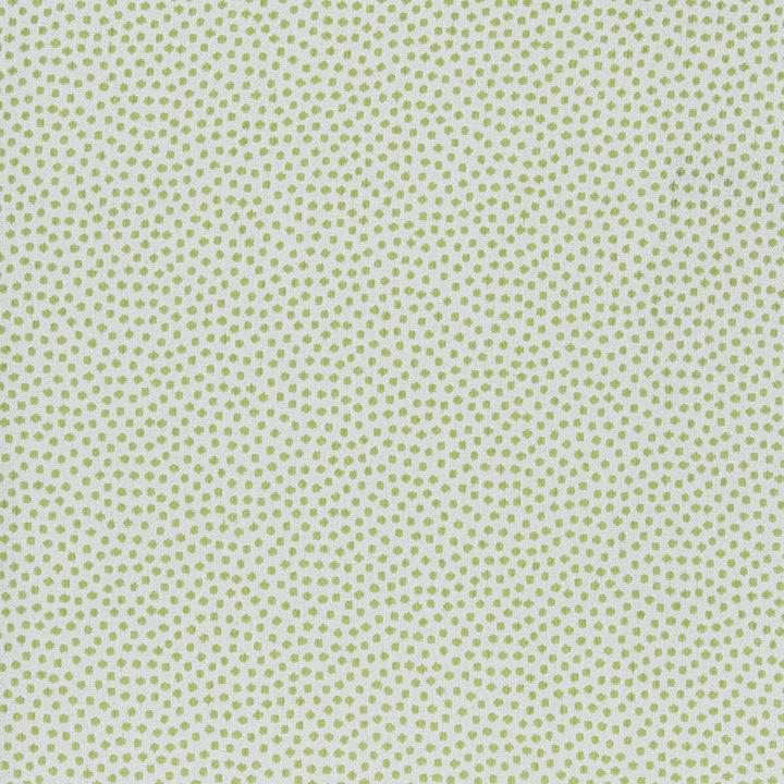 Kravet Design 36085-31 by Kravet Design Fabric Kravet Design Fabric Kravet Design 36085-31Fabric INSIDE OUT PERFORMANCE FABRICS POLYESTER - 100% United States </p><p>Repeat: H: , V: 56 - Fabric Carolina -