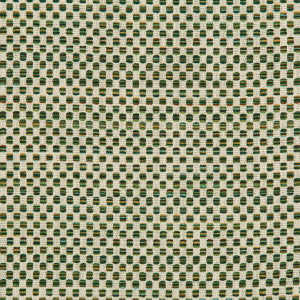 Kravet Fabric 36090-313