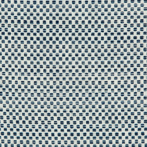 Kravet Fabric 36090-51