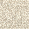 Kravet Fabric Flying High White Sand