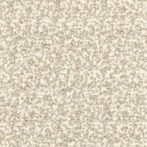 Kravet Fabric Flying High White Sand