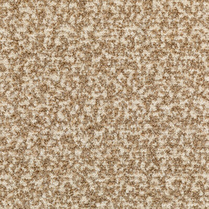Kravet Fabric Flying High Camel