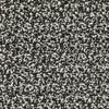 Kravet Fabric Flying High Ivory Noir