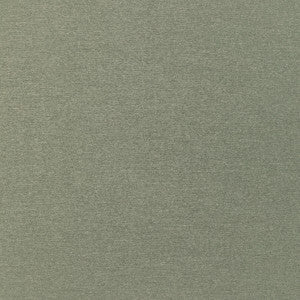 Kravet Fabric 36110-311