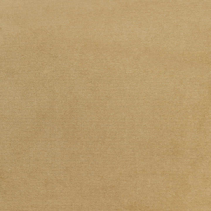 Kravet Smart 36111-106 by Kravet Smart Fabric Kravet Smart Fabric Kravet Smart 36111-106Fabric PERFORMANCE KRAVETARMOR POLYESTER - 100% Turkey </p><p>Repeat: H: 0, V: 0 55 - Fabric Carolina -