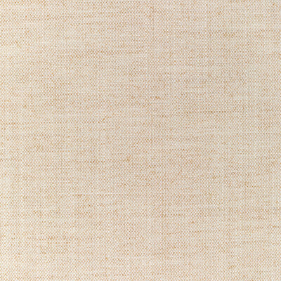 36112.1161.0 by Kravet Fabric Kravet Fabric 36112.1161.0Fabric PERFORMANCE KRAVETARMOR POLYESTER - 100% India </p><p>Repeat: H: 0, V: 0 54 - Fabric Carolina -