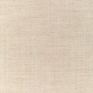 Kravet Fabric 36112-1161