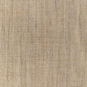 Kravet Fabric 36112-166