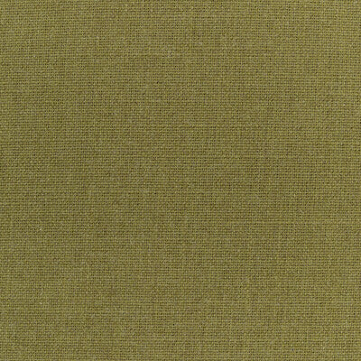 36112.34.0 by Kravet Fabric Kravet Fabric 36112.34.0Fabric PERFORMANCE KRAVETARMOR POLYESTER - 100% India </p><p>Repeat: H: 0, V: 0 54 - Fabric Carolina -