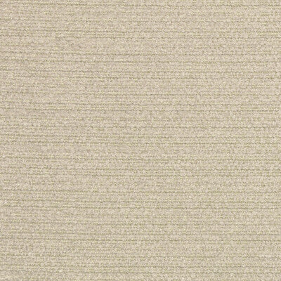 36121.16.0 by Kravet Fabric Kravet Fabric 36121.16.0Fabric ACRYLIC CHENILLE - 58%;POLYESTER - 30%;COTTON - 12% Italy </p><p>Repeat: H: 0, V: 0 55.12 - Fabric Carolina -