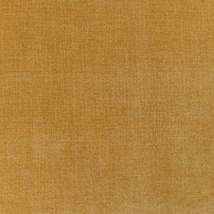 Kravet Fabric Accommodate Dijon