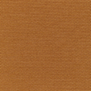 Kravet Fabric Mobilize Ginger