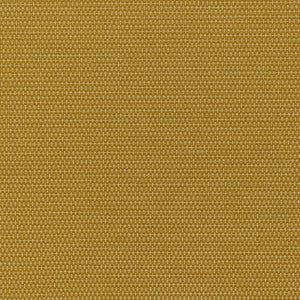 Kravet Fabric Mobilize Midas
