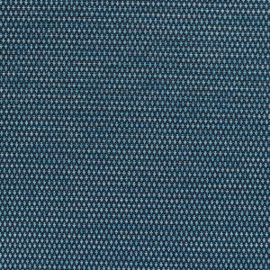 Kravet Fabric Mobilize Bimini