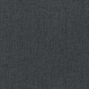 Kravet Fabric Fortify Graphite