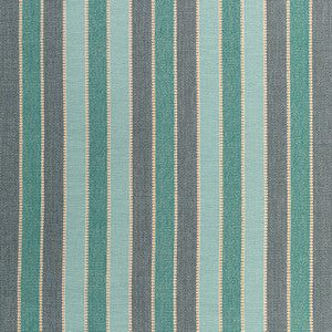 Kravet Fabric Walkway Oasis