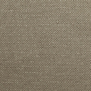 Kravet Fabric Carson Steam