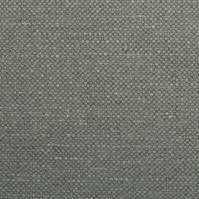 36282.2111.0 by Kravet Fabric Kravet Fabric 36282.2111.0Fabric COTTON - 60%;LINEN - 40% India </p><p>Repeat: H: 0, V: 0 55 - Fabric Carolina -