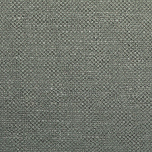 Kravet Fabric Carson Rhino