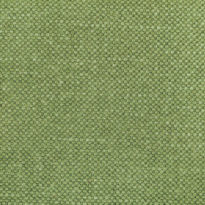 Kravet Fabric Carson Frog