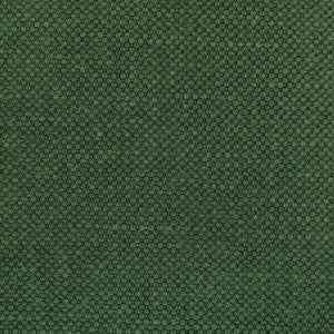 Kravet Fabric Carson Envy