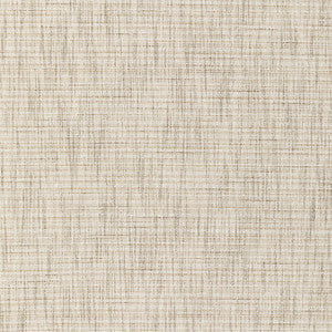 Kravet Fabric 36289-1