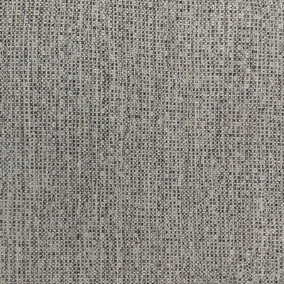 36301.811.0 by Kravet Fabric Kravet Fabric 36301.811.0Fabric PERFORMANCE CRYPTON HOME OLEFIN - 99%;POLYESTER - 1% United States </p><p>Repeat: H: , V: 55.25 - Fabric Carolina -