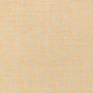 Kravet Fabric 36302-116