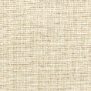 Kravet Fabric 36303-1