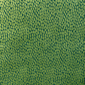 Kravet Fabric Foundrae Jungle