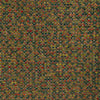 Kravet Fabric Remo Tiger Lily