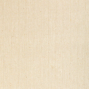 Kravet Fabric Basics 36334-161
